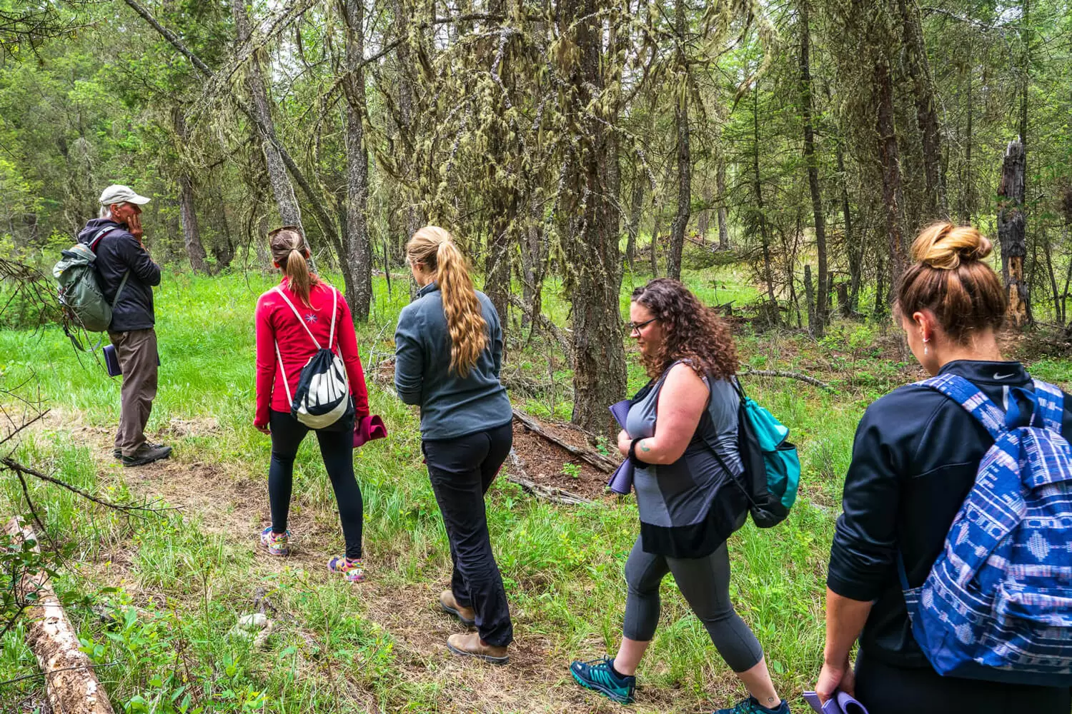 Forest Bathing Radius