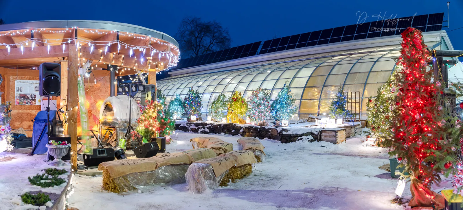 Garden of Lights 2024 DeniseHoffgaard (1)