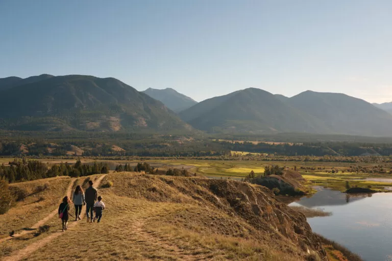 36 Wilmer Wetlands Trail Invermere BC Bird Trail