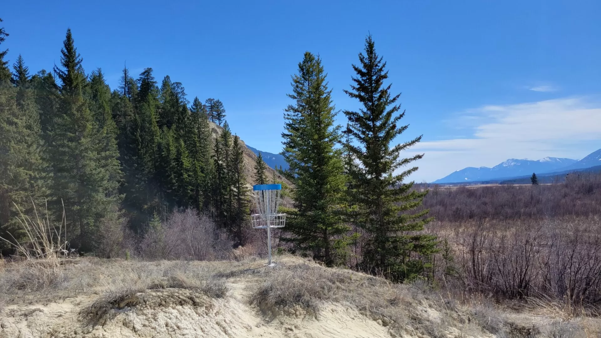 Raven's Nest Disc Golf Wetland view