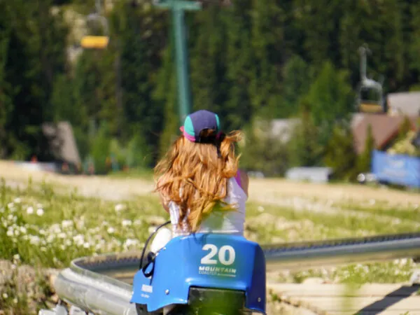 Wild Rider Mountain Coaster Panorama Mountain Resort (1)
