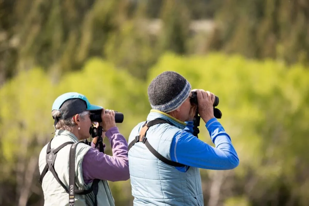 birders