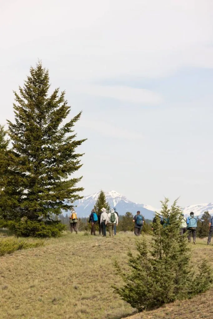 birders mountain view