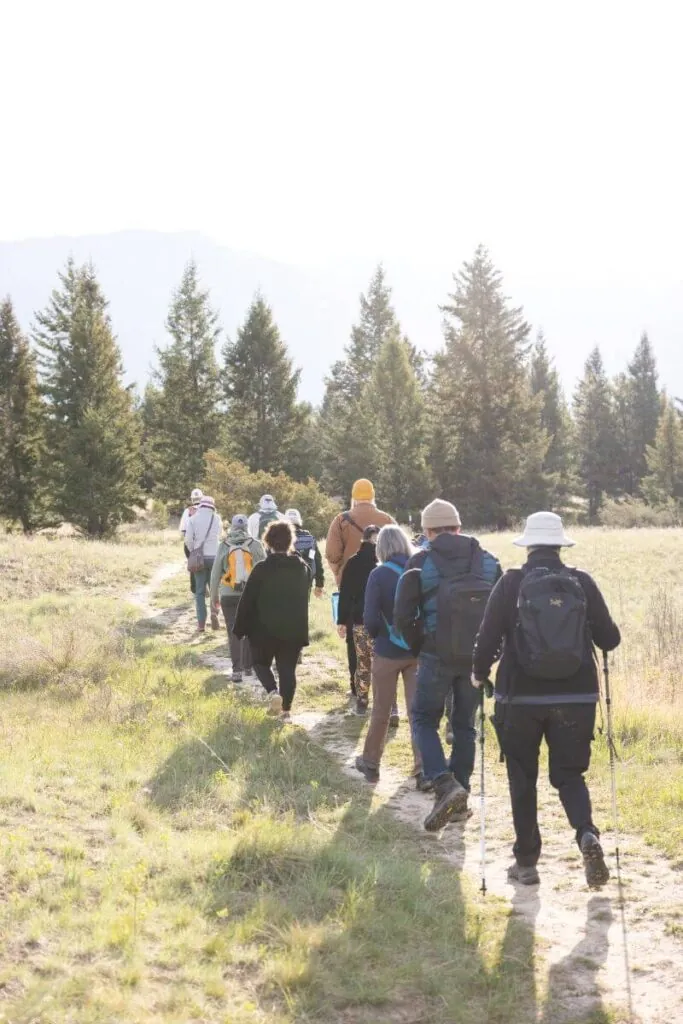 birders walking