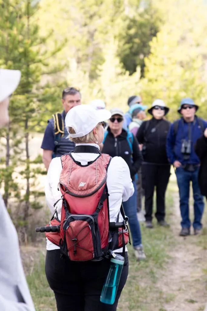birders walking trees
