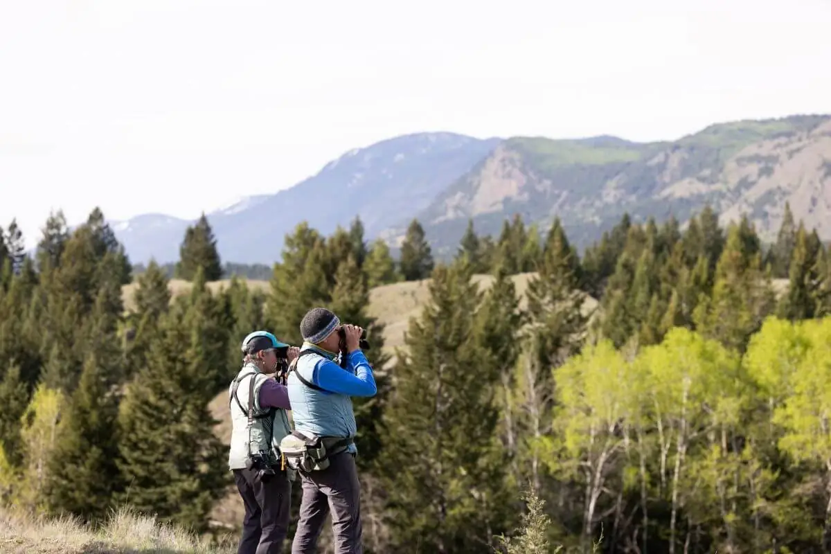 birders wings over rockies