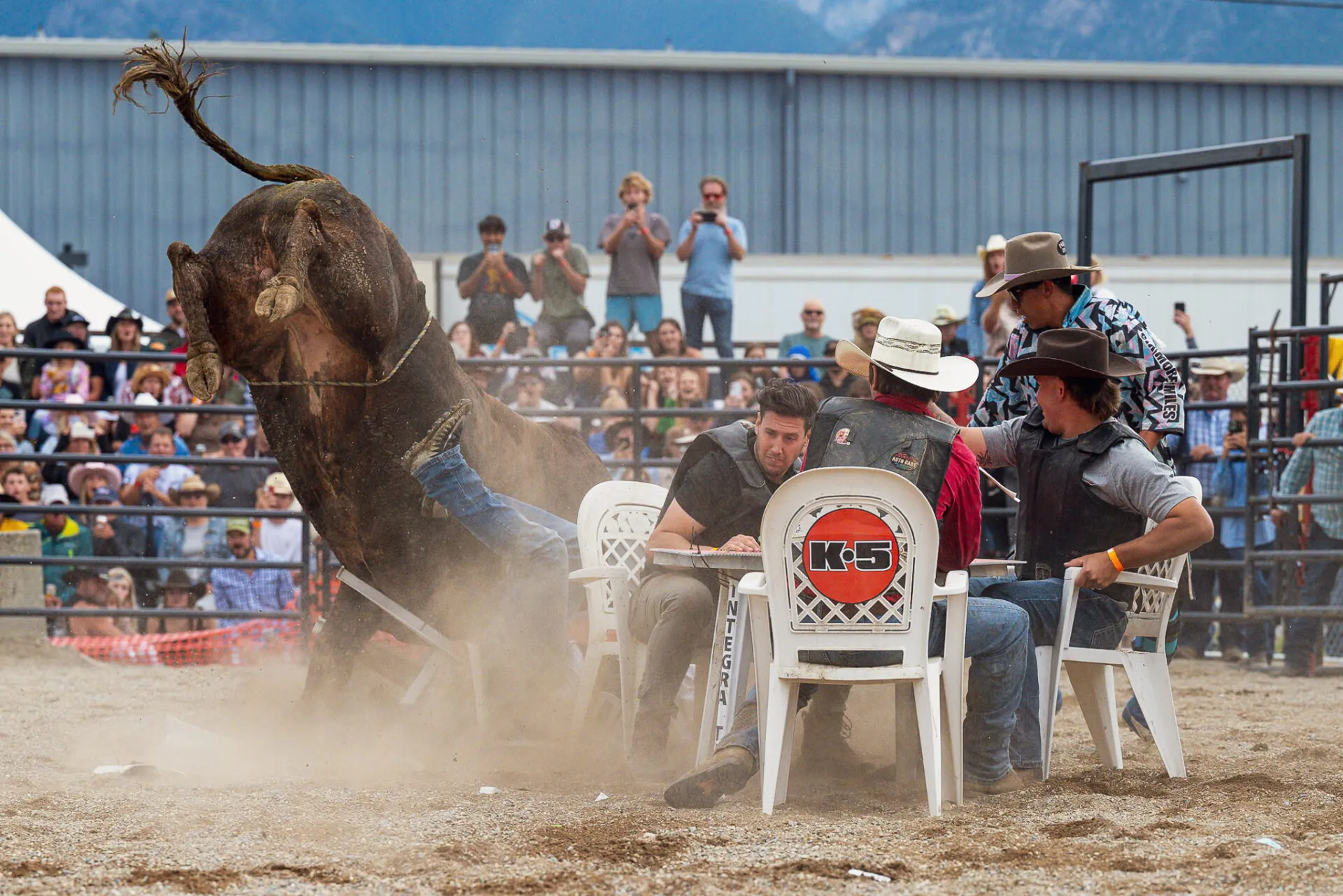 bull riding 2026