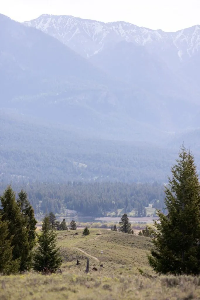 wings over rockies wetland view