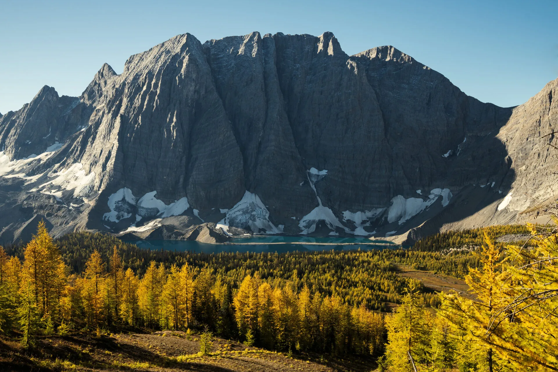 Floe Lake Larches Floe Lake Larches