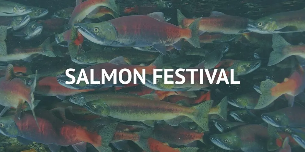 Salmon Festival