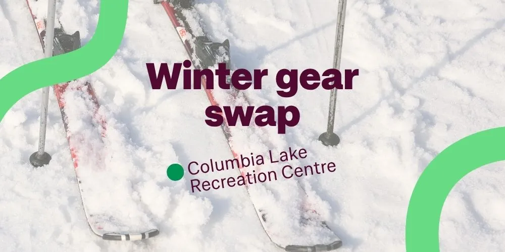 WinterGearSwap
