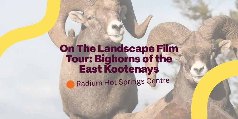 On The Landscape Screening