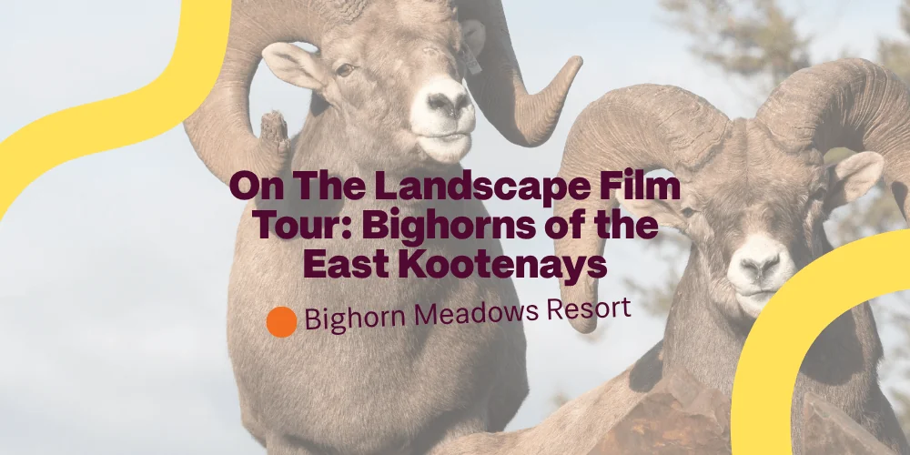 On The Landscape Screening
